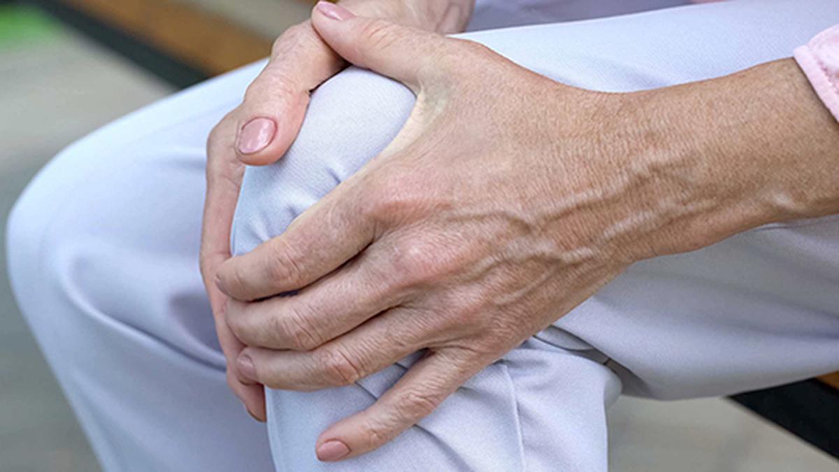 How scientists are using menstrual blood to treat osteoarthritis
