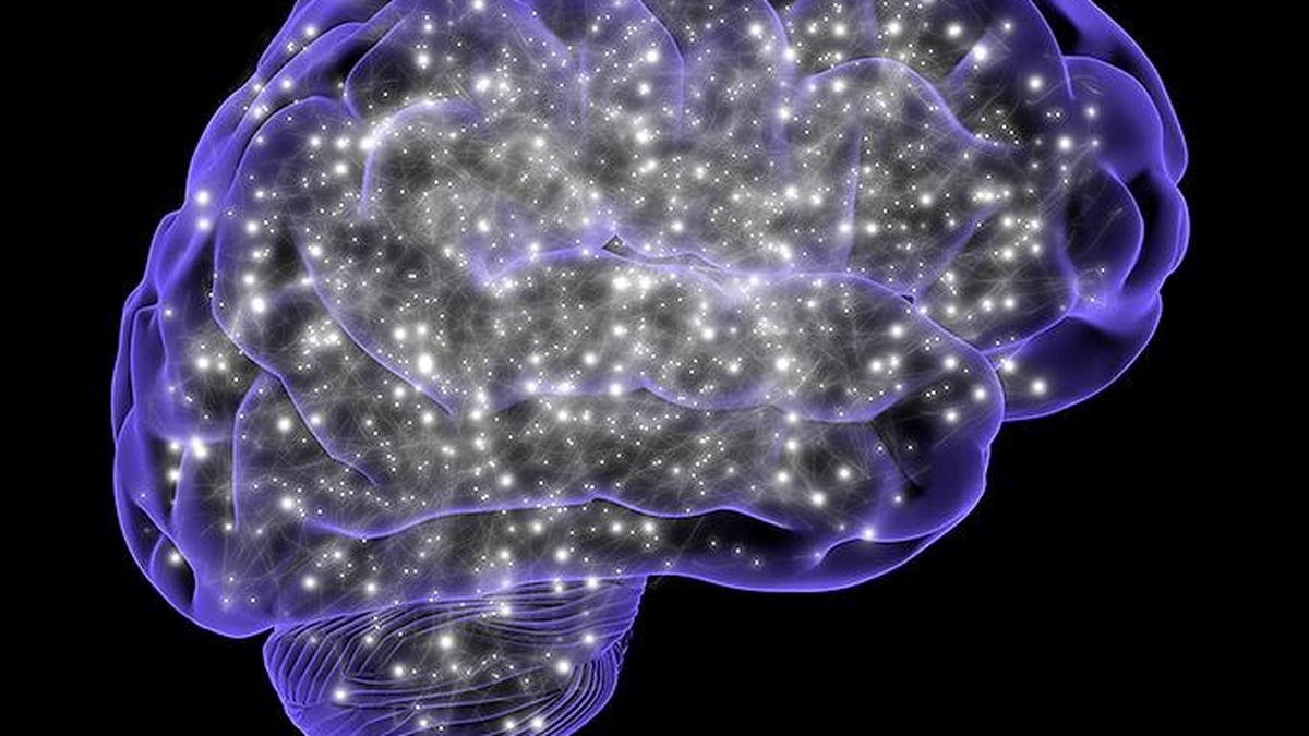 U.S. study tests psilocybin to fight cancer side effects