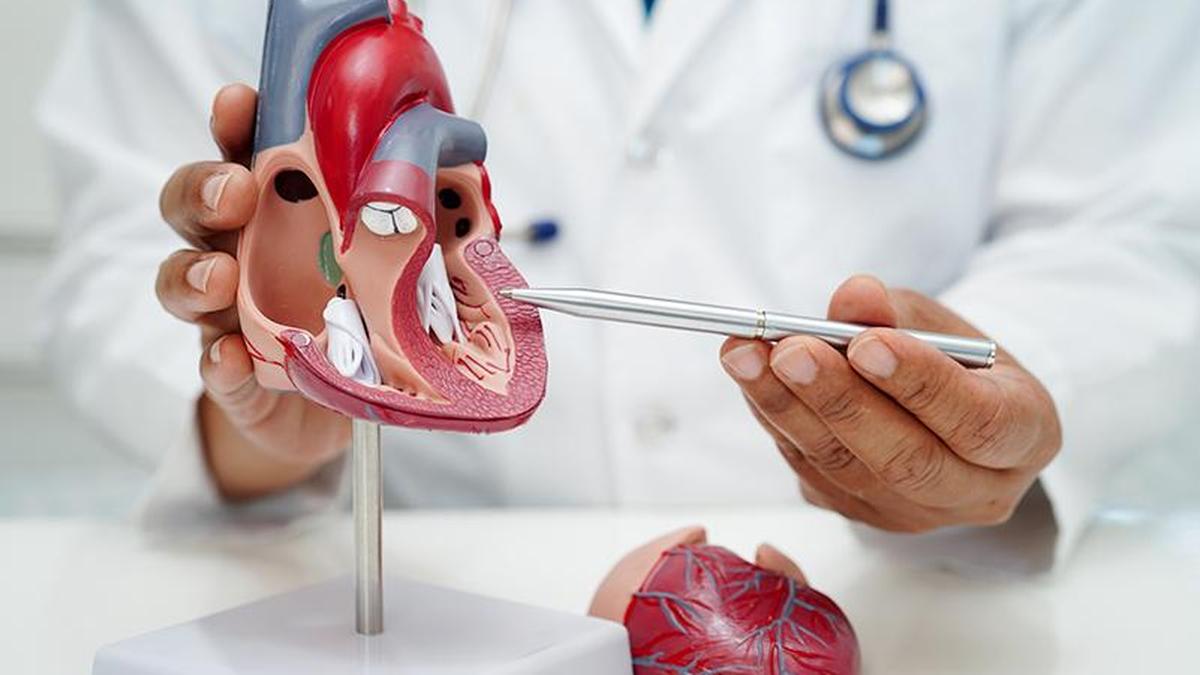 Women’s hearts are still being overlooked: this needs to change